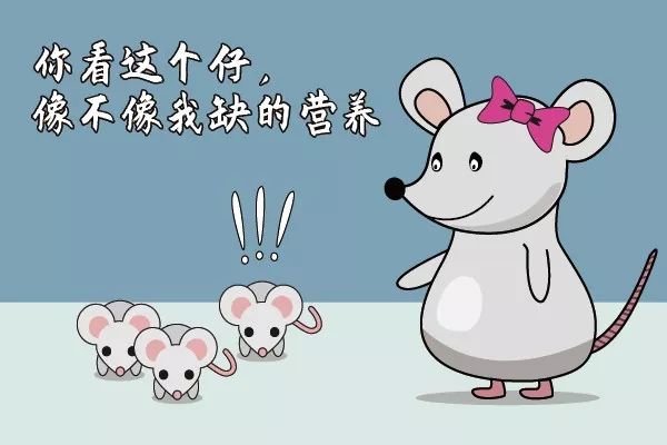 走近科学之消失的引擎盖,走近科学之消失的井盖