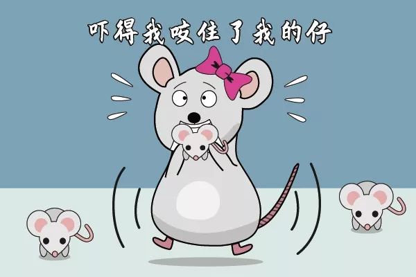 走近科学之消失的引擎盖,走近科学之消失的井盖