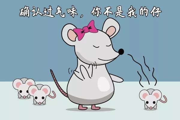 走近科学之消失的引擎盖,走近科学之消失的井盖