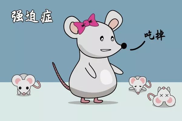 走近科学之消失的引擎盖,走近科学之消失的井盖