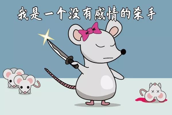 走近科学之消失的引擎盖,走近科学之消失的井盖