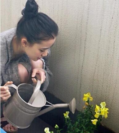 苍井优结婚了，现在去当搞笑艺人还来得及娶新垣结衣