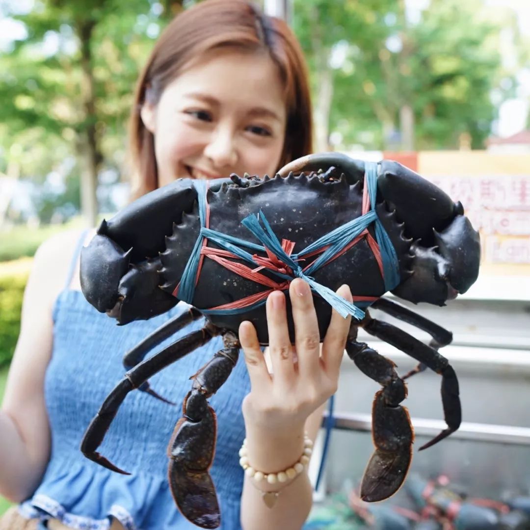 新加坡哪里吃蟹,新加坡哪里吃螃蟹最划算