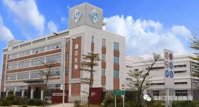 深圳科创龙头上市公司,深圳科创板