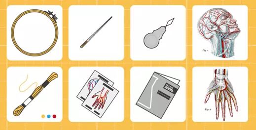 我就不信,只有我一个人想试试人体解剖丨好物推荐