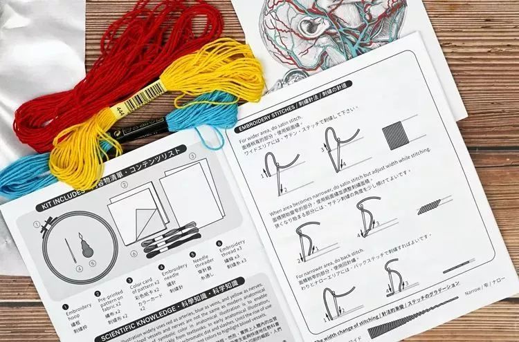 我就不信,只有我一个人想试试人体解剖丨好物推荐