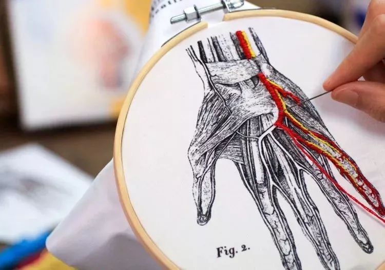 我就不信,只有我一个人想试试人体解剖丨好物推荐