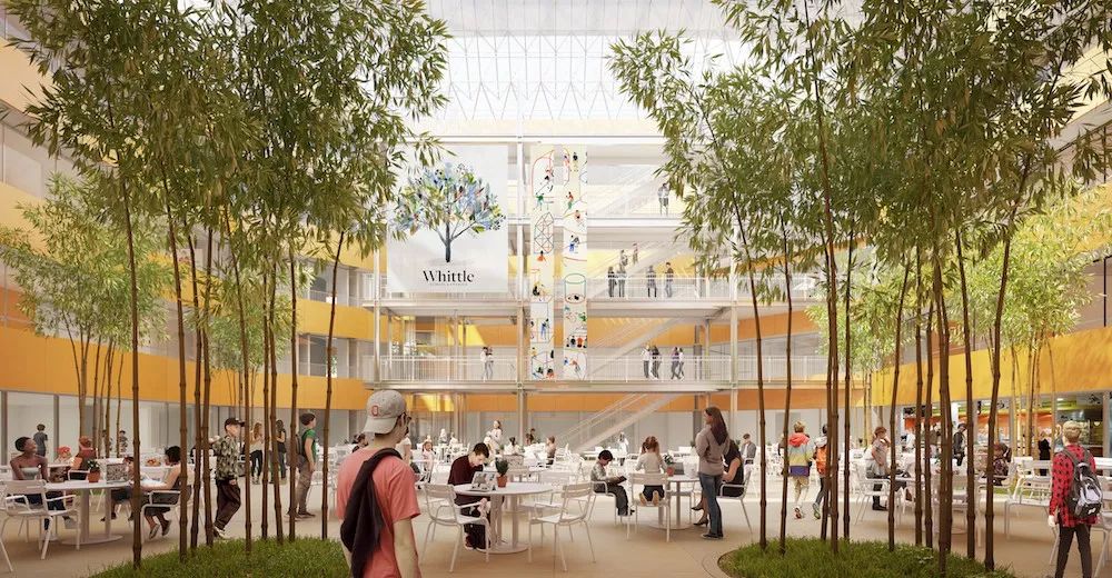 托福100、SAT1400只是最低标准？如何逃离华裔学生竞争怪圈