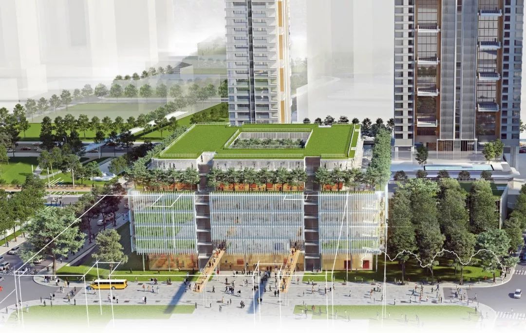 托福100、SAT1400只是最低标准？如何逃离华裔学生竞争怪圈