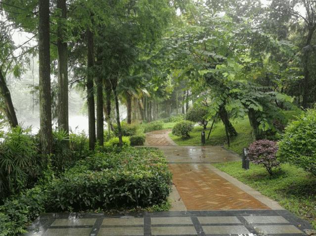 高品质旅游成都青城山,强烈推荐旅游成都青城山