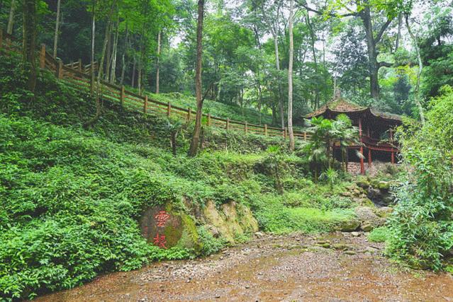 高品质旅游成都青城山,强烈推荐旅游成都青城山