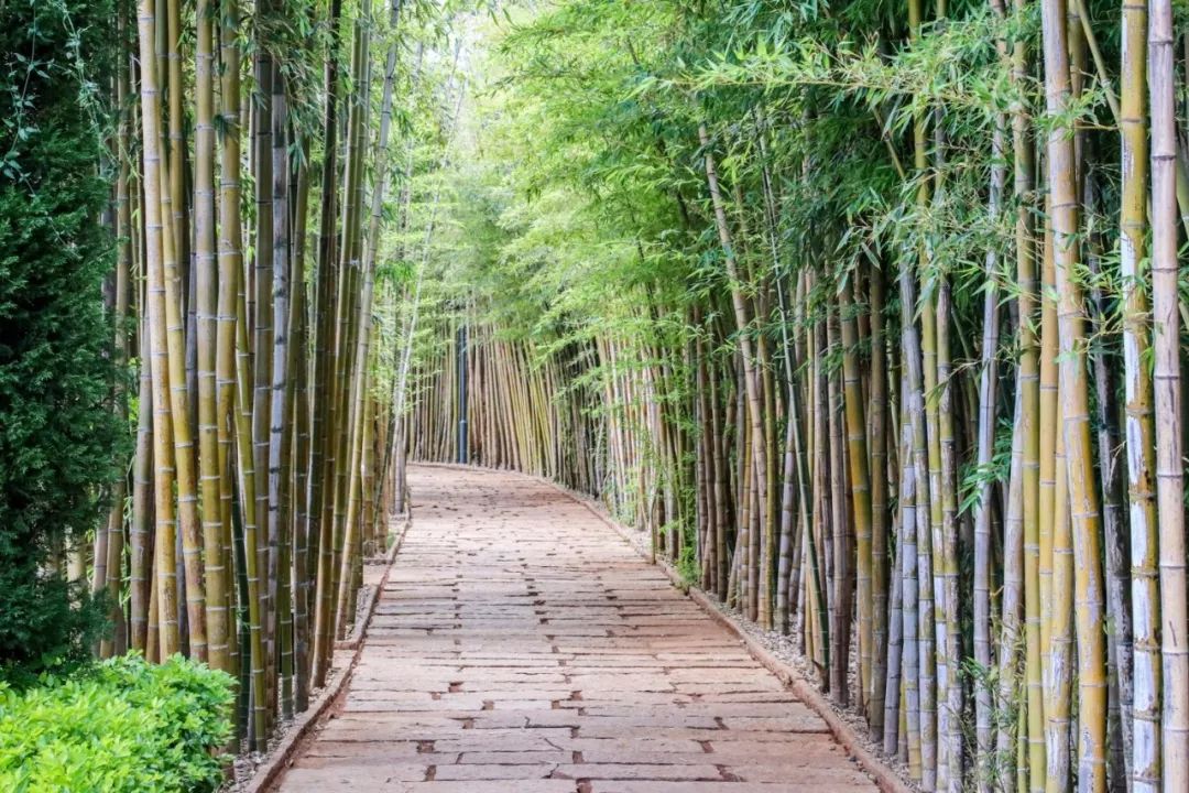 希尔顿最值得购买的酒店,云南丽江晶玺希尔顿酒店