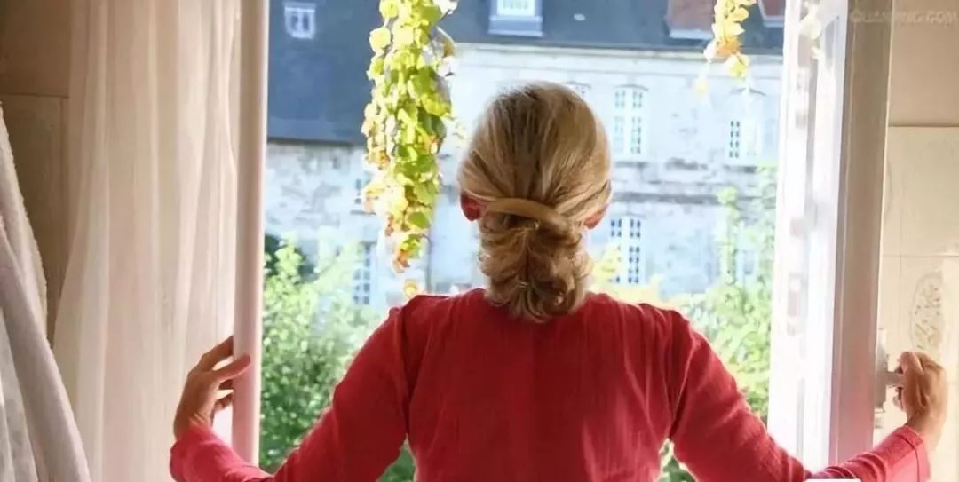 吸甲醛最好的植物排行榜,吸甲醛最好的植物排名