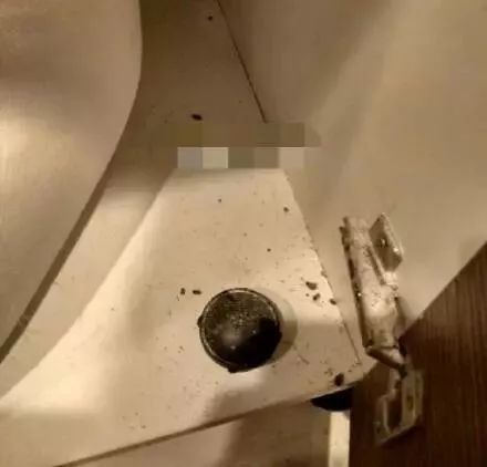 日本发明了机械蟑螂,日本杀蟑螂神器