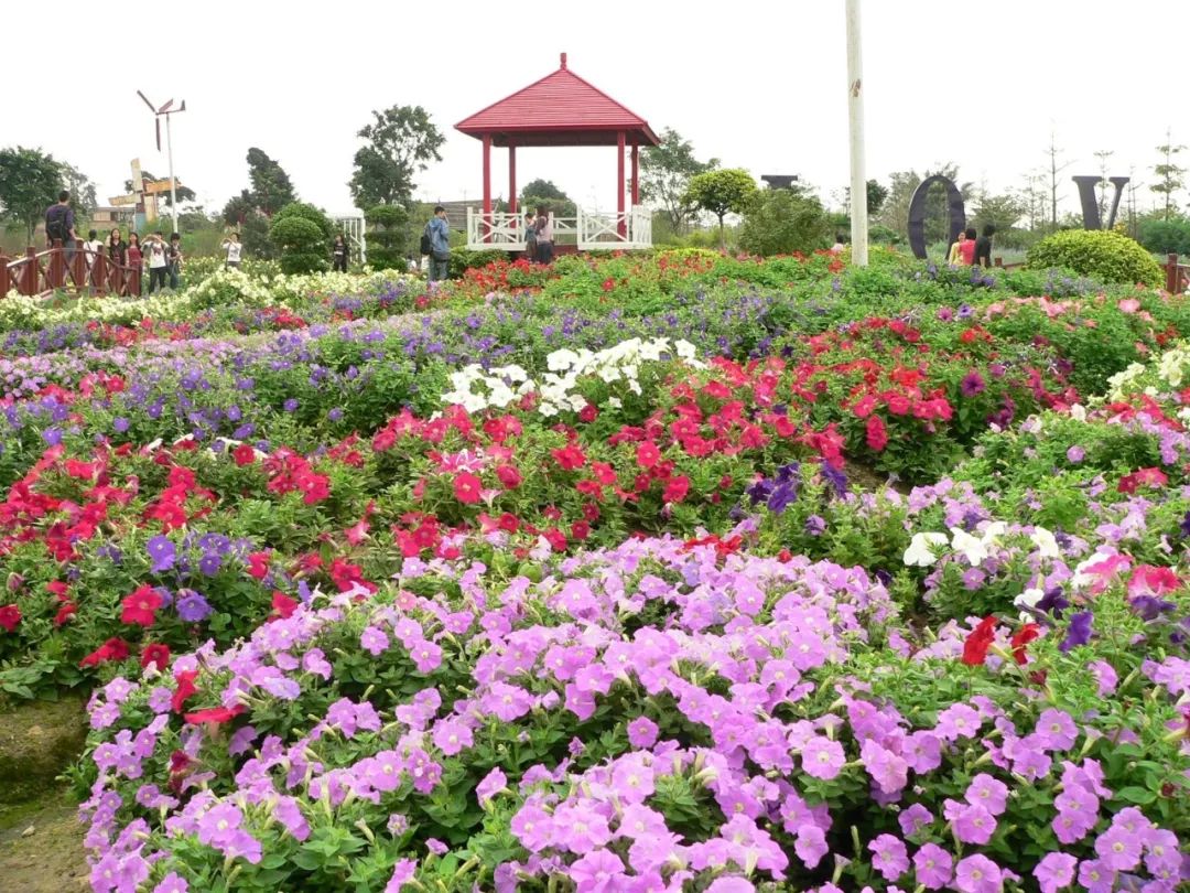 济南融创文旅城开业倒计时36天,广州花都融创文旅城c2区