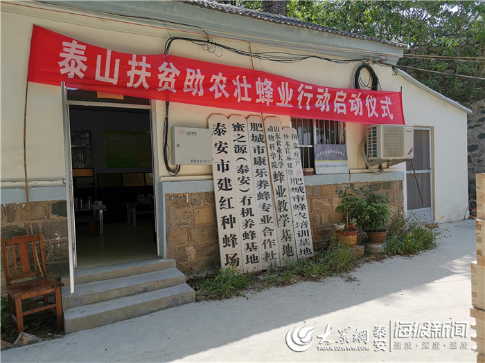 中蜂养殖打造甜蜜产业,养蜂产业扶贫合作方案