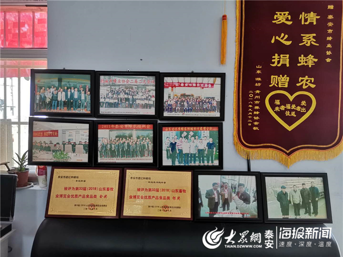 中蜂养殖打造甜蜜产业,养蜂产业扶贫合作方案