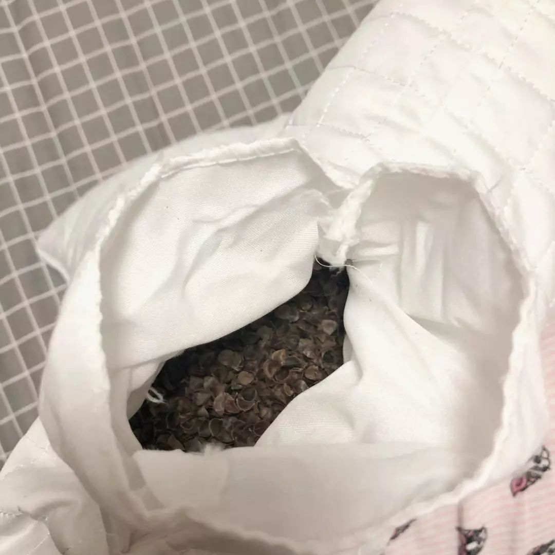 产品测评|关于荞麦枕,用过的人有话说