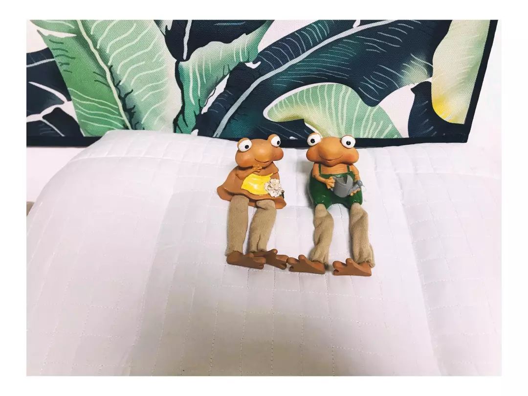 产品测评|关于荞麦枕,用过的人有话说