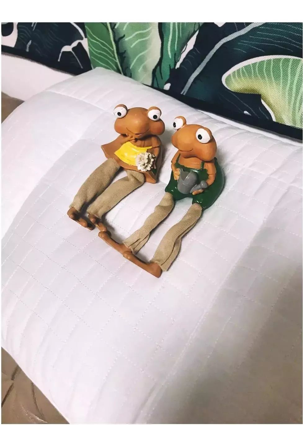 产品测评|关于荞麦枕,用过的人有话说