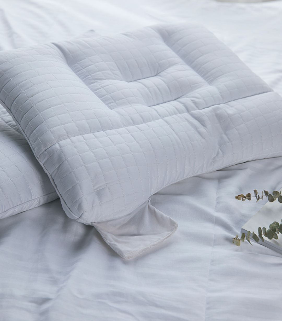 产品测评|关于荞麦枕,用过的人有话说