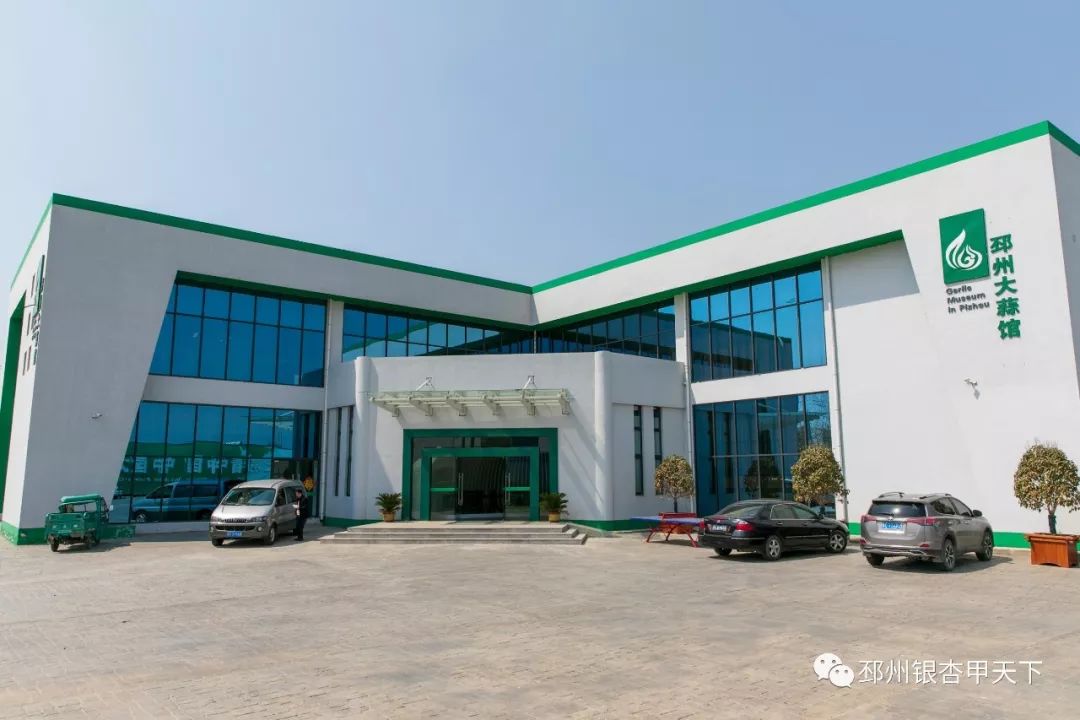 今天,人民网聚焦邳州:小蒜头撬动百亿级大产业