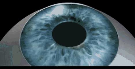 爱眼日保护眼睛宣传,爱眼日关爱眼睛保护视力