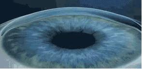 爱眼日保护眼睛宣传,爱眼日关爱眼睛保护视力