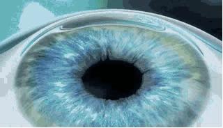 爱眼日保护眼睛宣传,爱眼日关爱眼睛保护视力