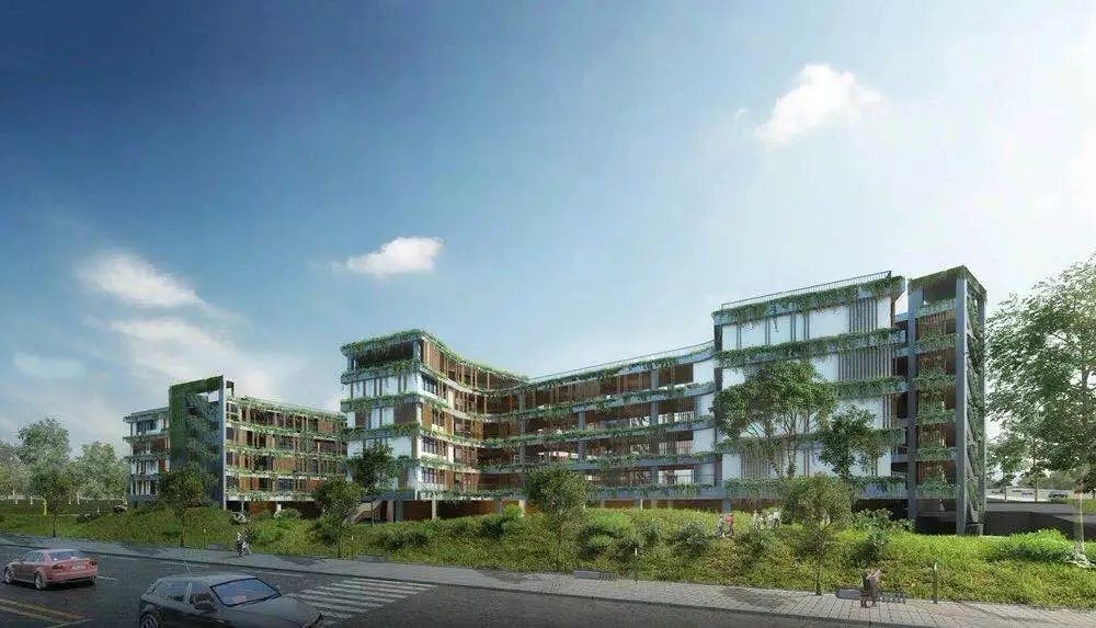 红星小学富康校区,红星小学富康校区是哪个学校