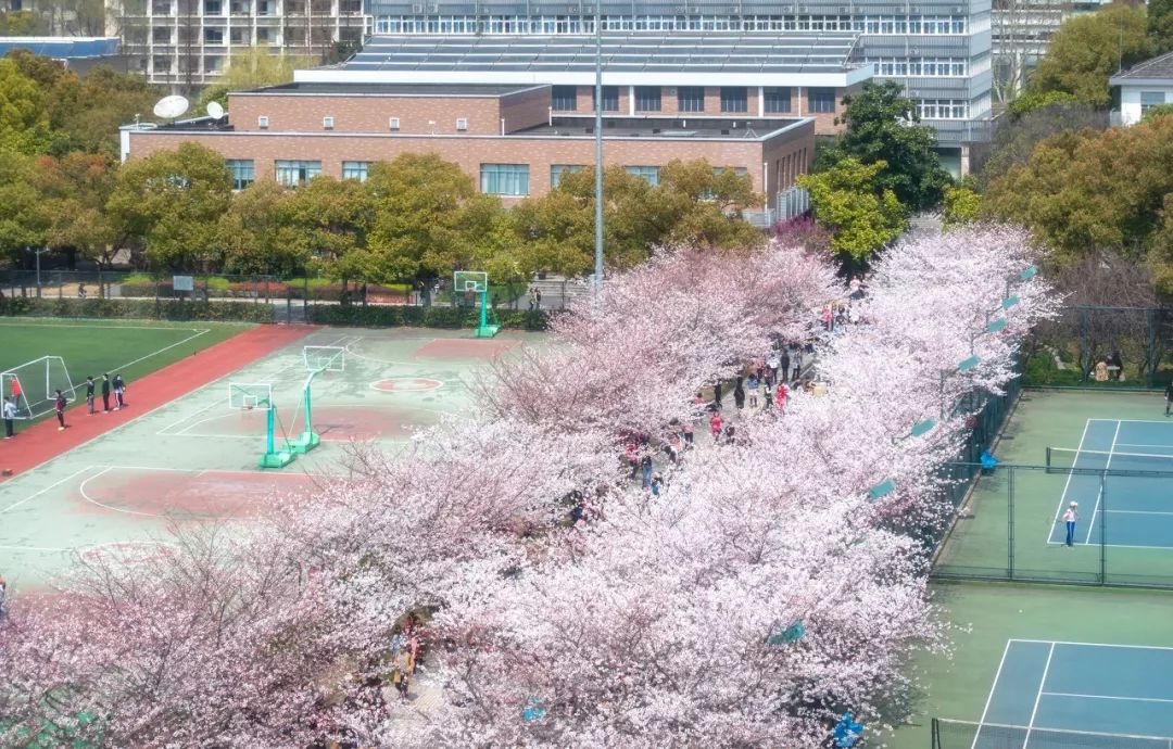 高考在即收下这份考试锦囊,献给高考后学子们的大学攻略