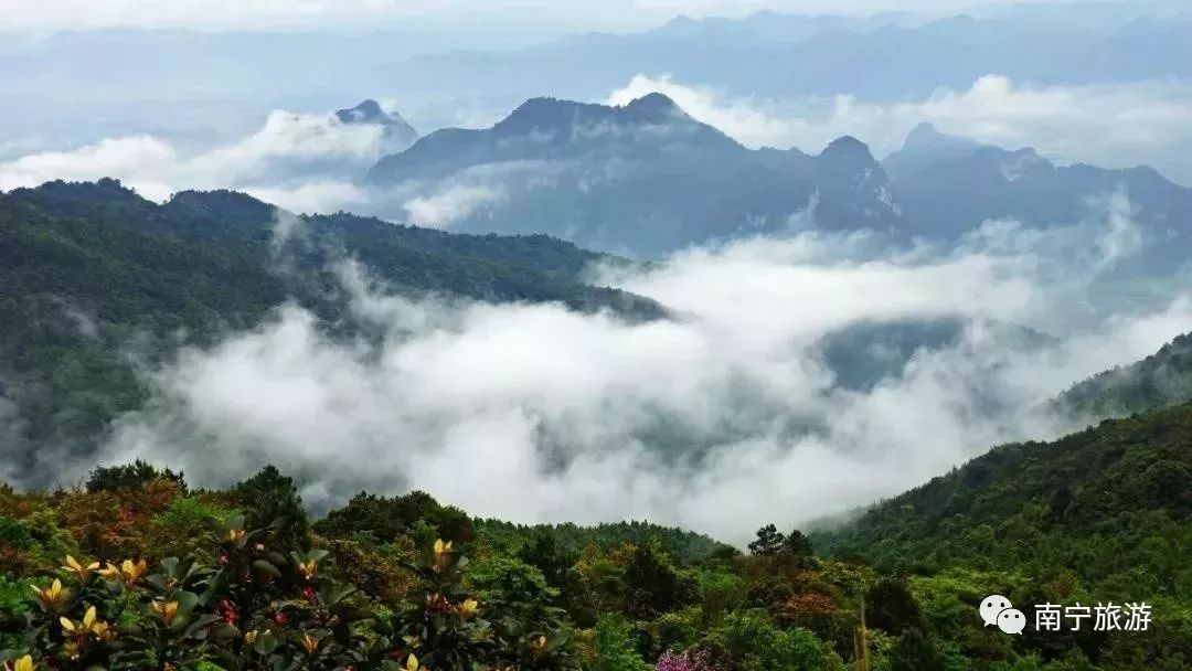 粽情端午节祈福欢乐游|这个端午南宁给您N种玩法！