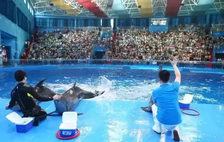 端午节哪里好玩贵州贵阳,贵州端午节哪个地方最热闹