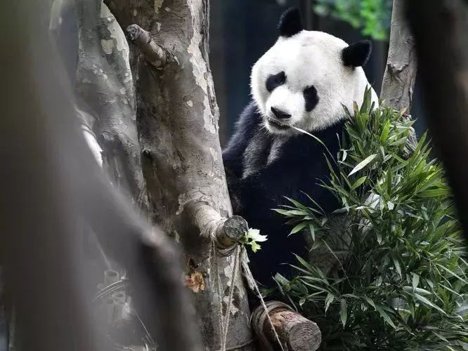 端午节哪里好玩贵州贵阳,贵州端午节哪个地方最热闹