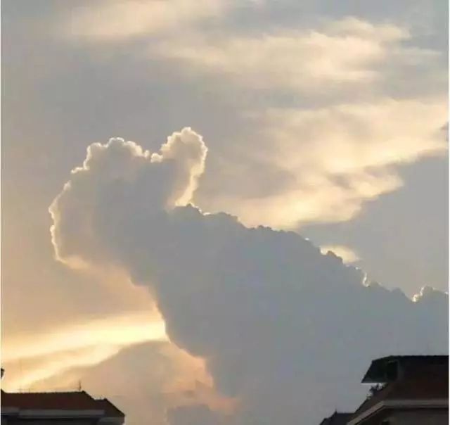 今天,请为增城7106名高考生扩散这条消息......