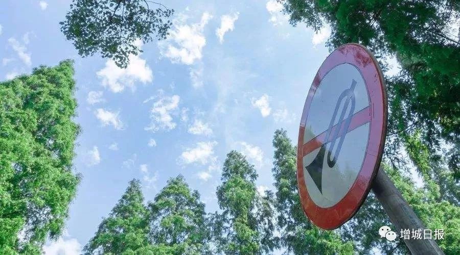 今天,请为增城7106名高考生扩散这条消息......