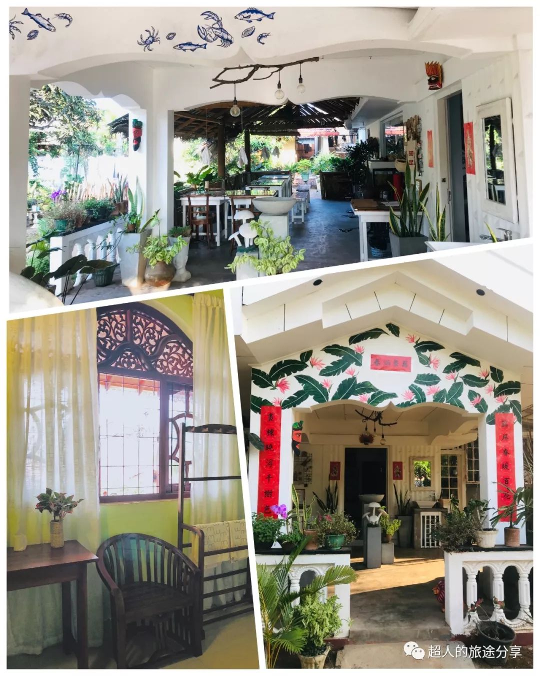 丝路东游记29视频,丝路东游记锡兰