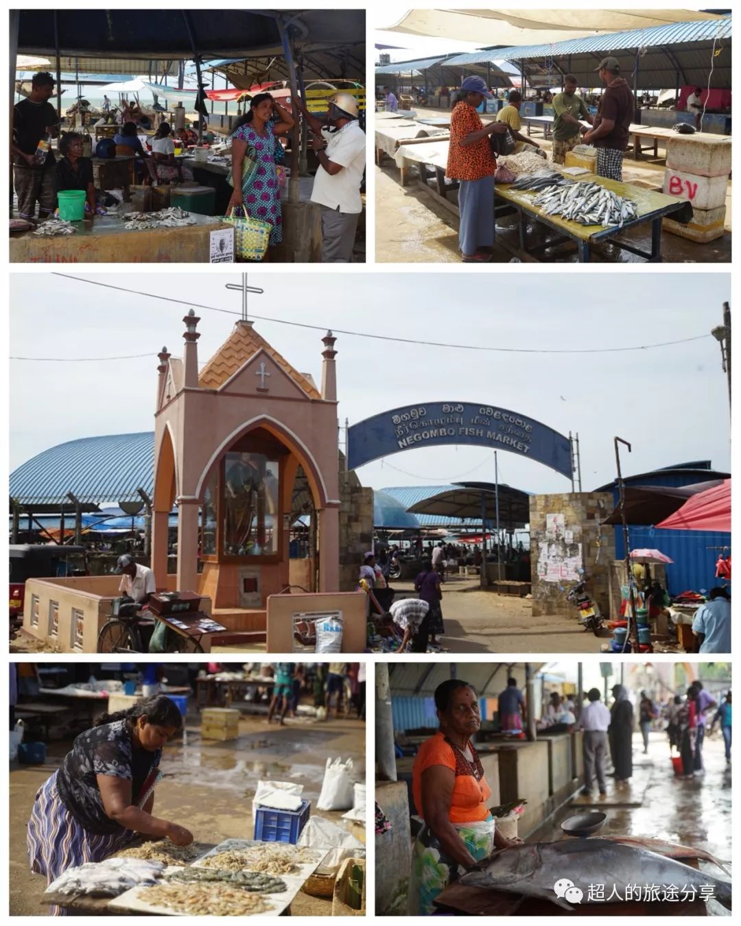 丝路东游记29视频,丝路东游记锡兰