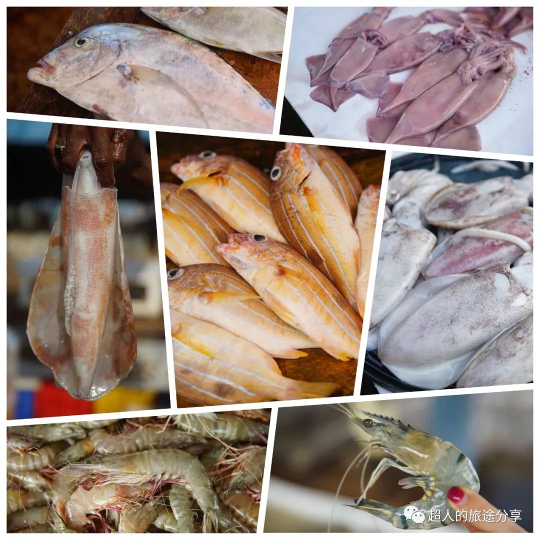 丝路东游记29视频,丝路东游记锡兰