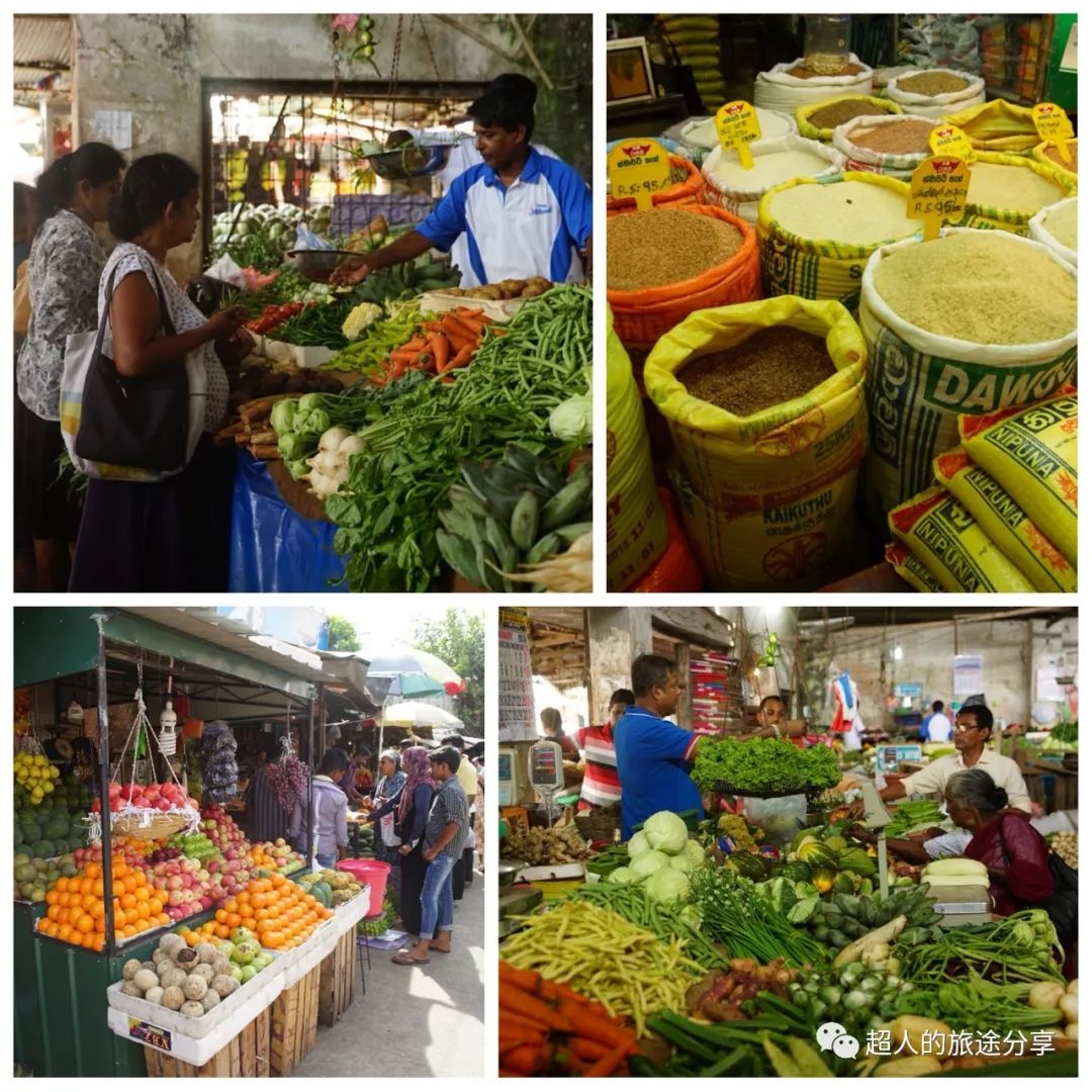 丝路东游记29视频,丝路东游记锡兰