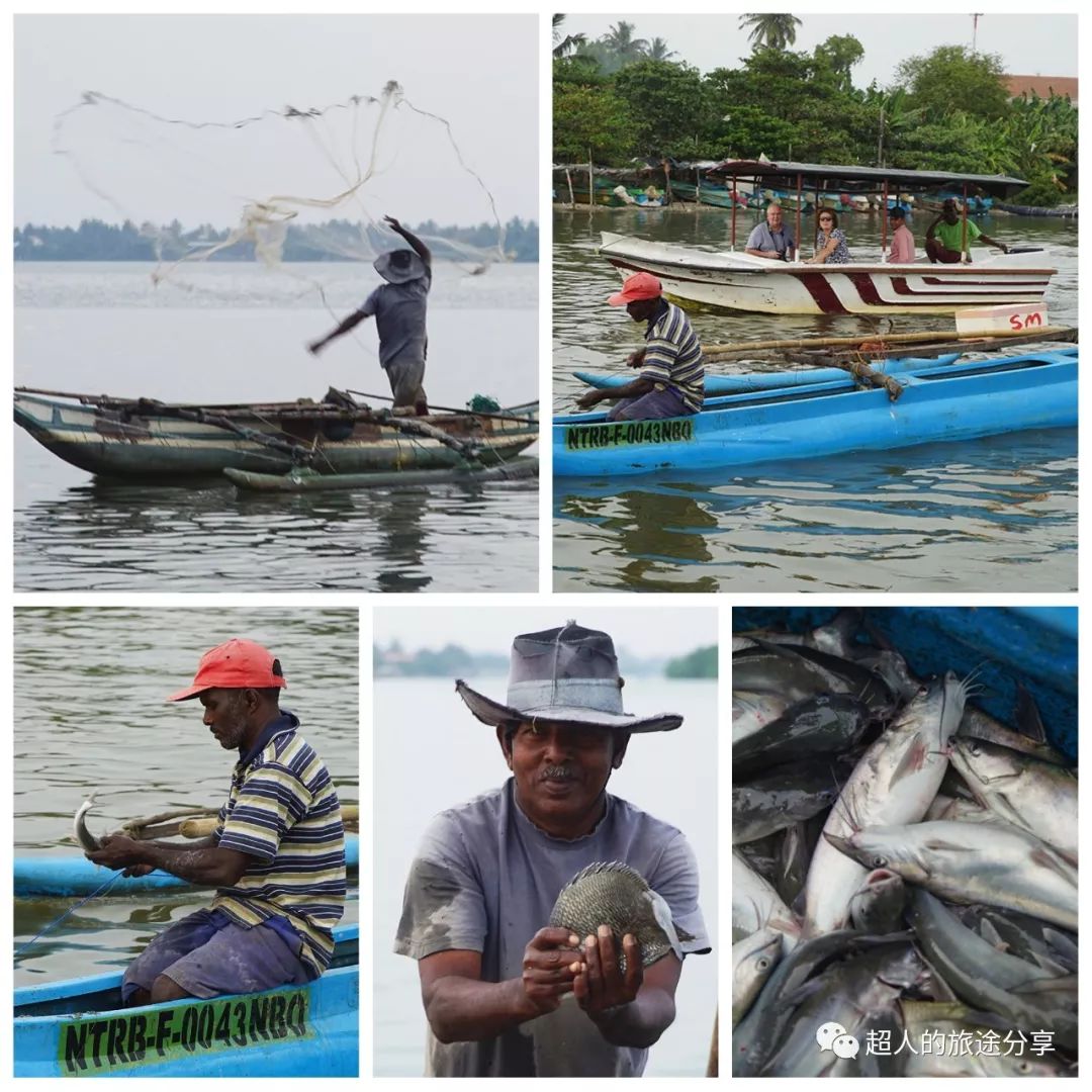 丝路东游记29视频,丝路东游记锡兰