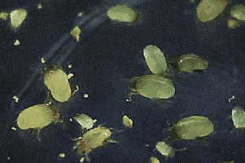 超舒服的洗澡刷,沉浸式泡浴spa团购