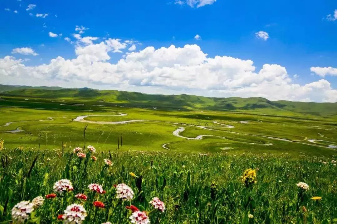 1-2天游玩,纯玩又便宜有趣的旅游线路