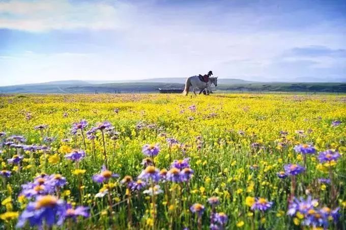 1-2天游玩,纯玩又便宜有趣的旅游线路
