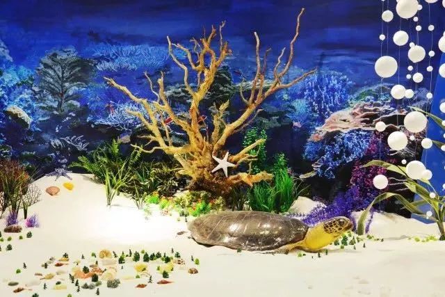 哈工程去哪里看海,哈工程在哪看海