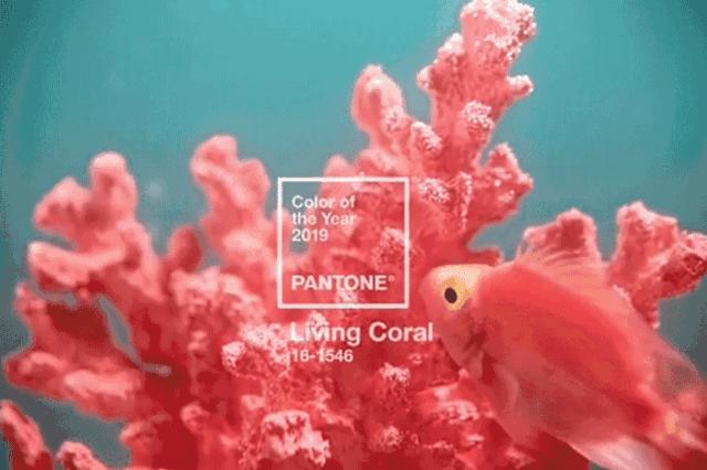 2019穿什么颜色好看,春夏应该穿什么颜色