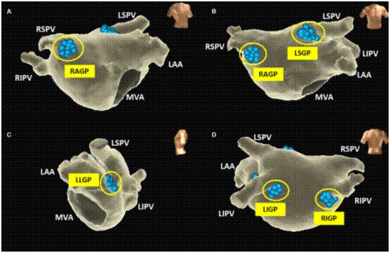 晕倒能彻底根治吗,晕倒有良方吗