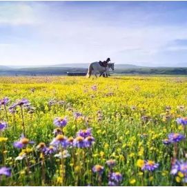 1-2天游玩,纯玩又便宜有趣的旅游线路