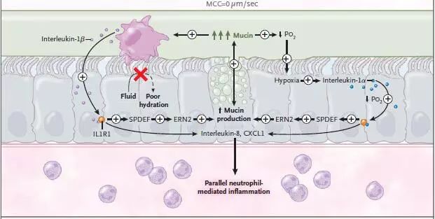 阻塞性肺疾病中医辨证论治,阻塞性疾病怎么治疗