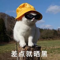 大s林志玲美白,大s曝光美白血流成河